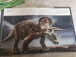 libri dinosauri bambini
